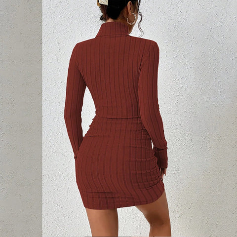 Knitted Bottoming Dress Women Elegant Party Autumn Winter Turtleneck Long Sleeves Sexy Sheath Mini Dresses Bodycon Club Dress - American Thistle Knitted Bottoming Dress Women Elegant Party Autumn Winter Turtleneck Long Sleeves Sexy Sheath Mini Dresses Bodycon Club Dress